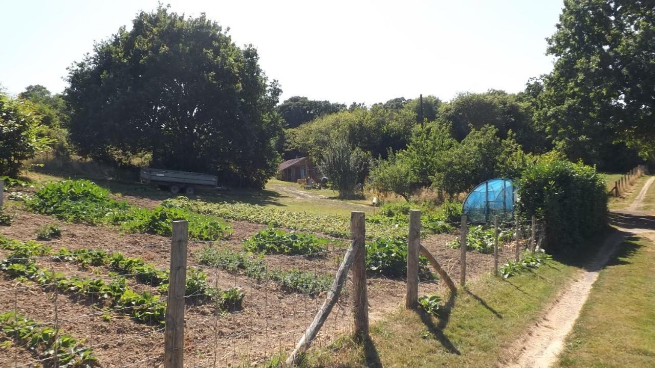 Hen House Hastings